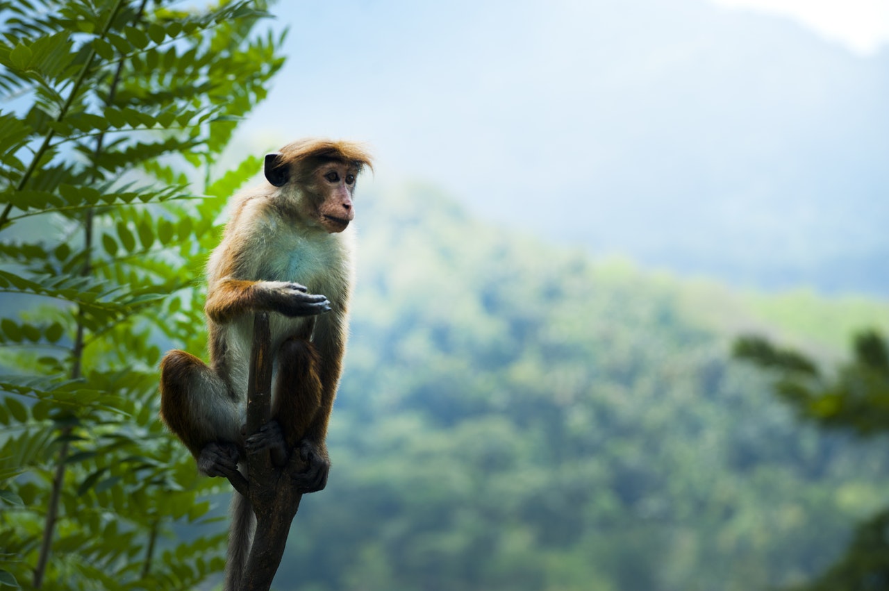 Kỹ năng mềm là rất cần thiết kể cả là kỹ sư đi công trường