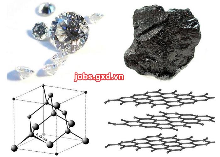 Khoảng cách từ “xó bếp” đến “tủ kính” đôi khi chỉ cách nhau 1% nỗ lực mỗi ngày